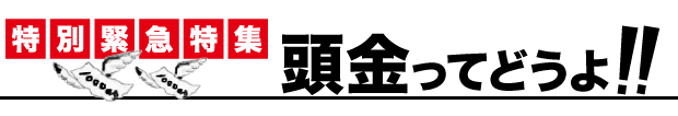 特別緊急特集　頭金ってどうよ！！