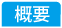 概要